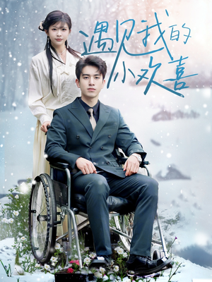 遇见我的小欢喜（70集） 番茄短剧看全集