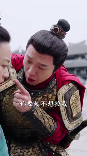 我的姐姐是将军（80集）演员表