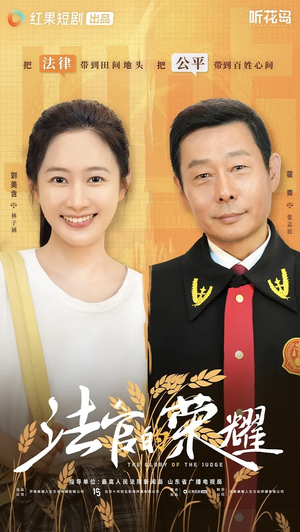 法官的荣耀(5集全) 法官的荣耀(5集全)看到大结局