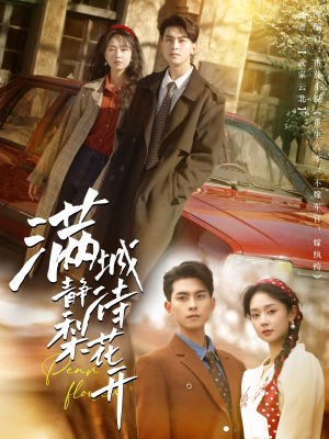 满城静待梨花开（100集）一口气看完