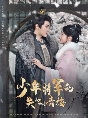少年将军的失忆小青梅(100集) 少年将军的失忆小青梅(100集)最火短剧热播