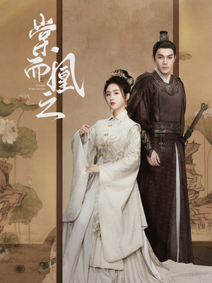 棠而凰之（70集） 看到了大结局