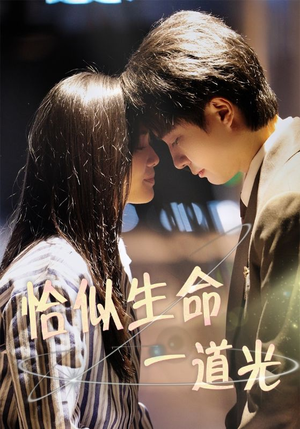 恰似生命一道光（60集） 免费观看