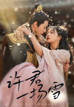 许君一场雪(43集) 许君一场雪(43集)全集我都看完了