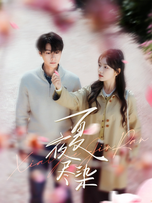 夏夜尽染(80集)  夏夜尽染(80集) 短剧抢先看全集