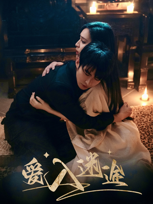 爱入迷途(67集) 爱入迷途(67集)最火短剧热播中