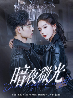 暗夜微光（86集）短剧排行榜