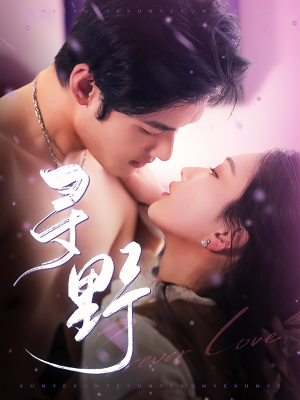 寻野（100集）红果免费短剧