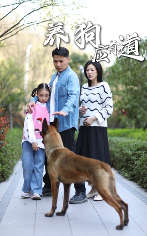 养狗应有道(60集) 养狗应有道(60集)全网短剧抢先看
