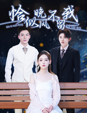 弃他如风(51集) 弃他如风(51集)热播短剧推荐