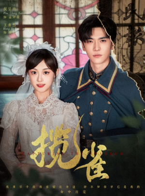 揽雀(61集) 揽雀(61集)我真的爱了