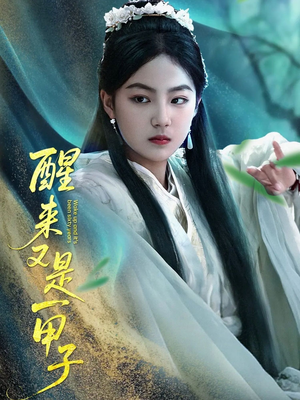 醒来又是一甲子(78集) 醒来又是一甲子(78集)第一季