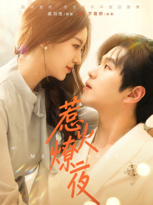 惹火燎夜（74集）番茄短剧看全集