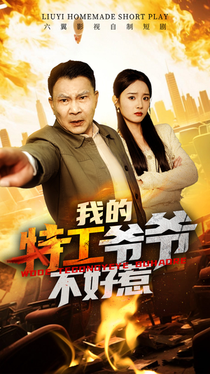 我的特工爷爷不好惹(68集) 我的特工爷爷不好惹(68集)百度网盘资源