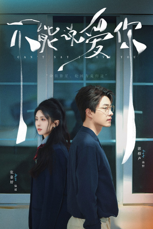 不能说爱你(64集) 不能说爱你(64集)热播古装短剧