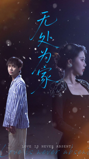 无处为家(99集) 无处为家(99集)解说