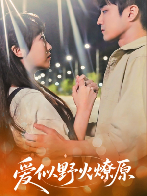爱似野火燎原(47集) 爱似野火燎原(47集)温柔追捕短剧