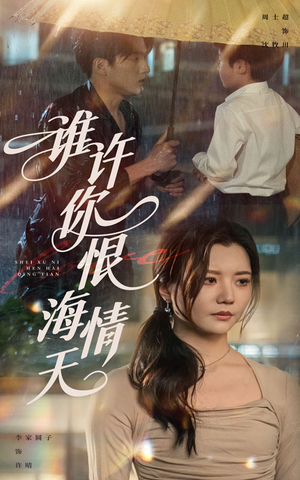 谁许你恨海情天（50集）追短剧看全集