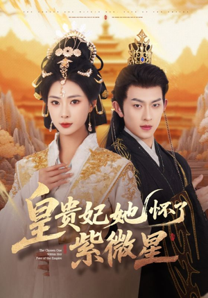 皇贵妃她怀了紫薇星(80集) 皇贵妃她怀了紫薇星(80集)精彩短剧合集