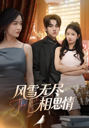 风雪无尽相思情（61集）短剧推荐分享