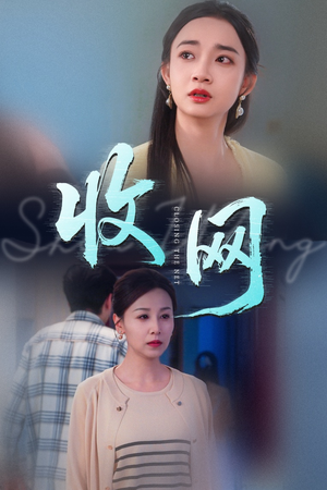 收网（60集）短剧越看越精彩