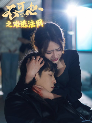 不可饶恕之难逃法网（20集）免费短剧全集看