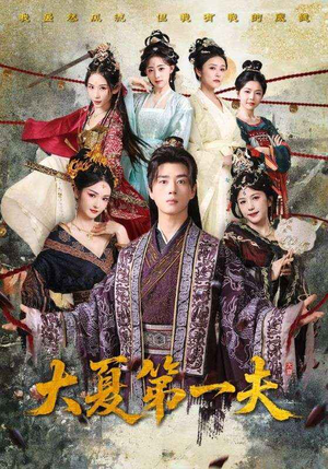 大夏第一夫(90集) 大夏第一夫(90集)在线看完整版
