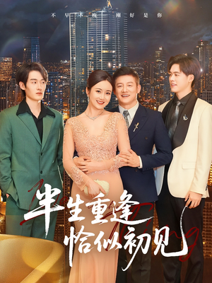 半生重逢恰似初见(90集) 半生重逢恰似初见(90集)全集下载