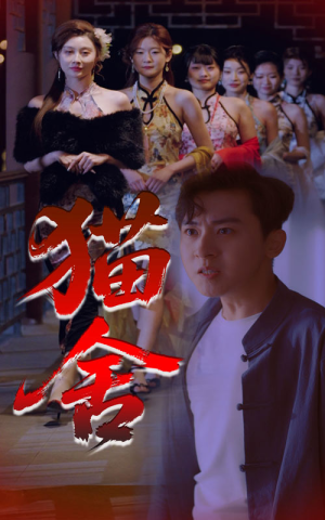 猫舍(34集) 猫舍(34集)大结局一气呵成