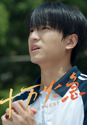 十万火急(30集) 十万火急(30集)演员表