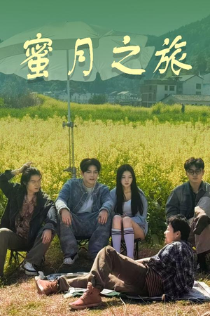 蜜月之旅(35集) 蜜月之旅(35集)一起看短剧
