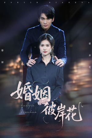 婚姻彼岸花(63集) 婚姻彼岸花(63集)在哪里可以全集