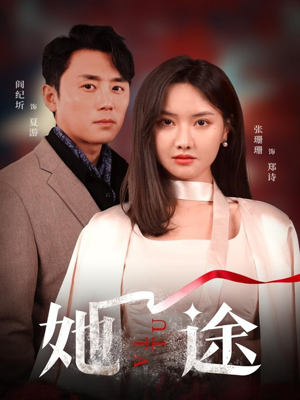 她途（48集）哪个网站可以看