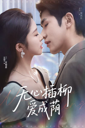 无心插柳爱成荫（80集）更新时间一览表