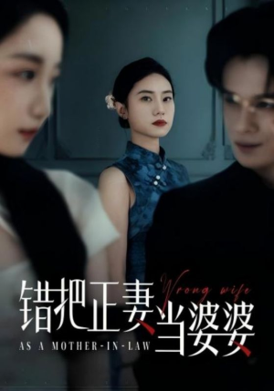 错把正妻当婆婆(46集) 错把正妻当婆婆(46集)热门短剧抢先