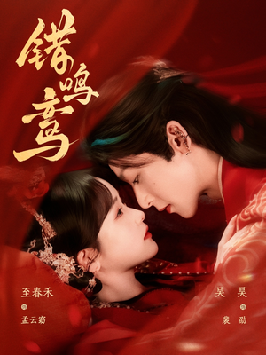 错鸣鸾(75集) 错鸣鸾(75集)演员表