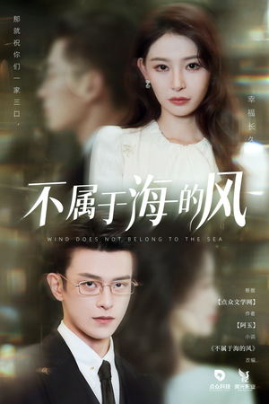 不属于海的风(40集) 不属于海的风(40集)女频短剧推荐