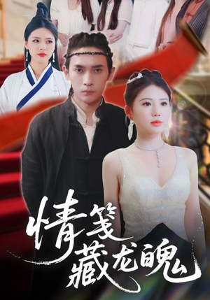 情笺藏龙魄（65集）真的太好看了