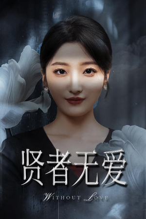 贤者无爱（42集）剧好看短剧推荐