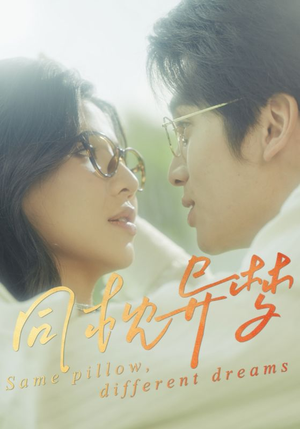 同枕异梦(50集) 同枕异梦(50集)火爆短剧来袭