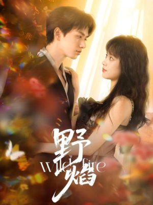 野焰(60集) 野焰(60集)在线看到大结局