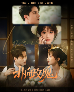 扑向玫瑰(77集) 扑向玫瑰(77集)在线看到大结局