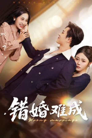 错婚难成(45集) 错婚难成(45集)在线看到大结局