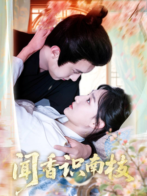 闻香识南枝（60集）免费观看全集