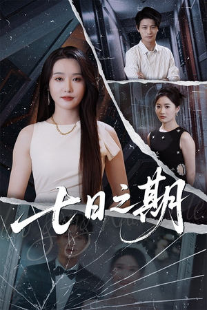 七日之期(90集) 七日之期(90集)全集完整版