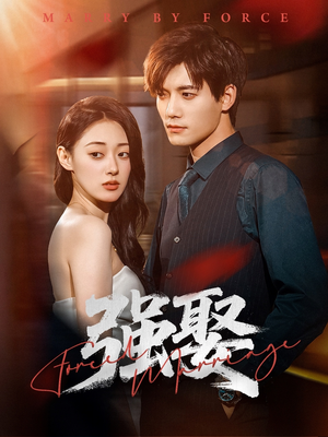 强娶(80集) 强娶(80集)短剧在线看