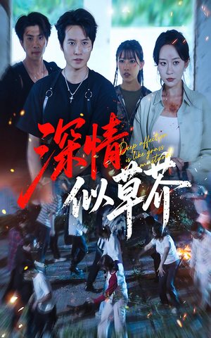 深情似草芥(51集) 深情似草芥(51集)更新时间