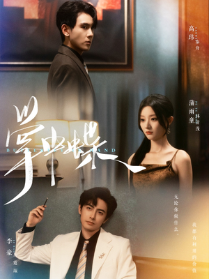 掌中蝶(84集) 掌中蝶(84集)短剧全集更精彩