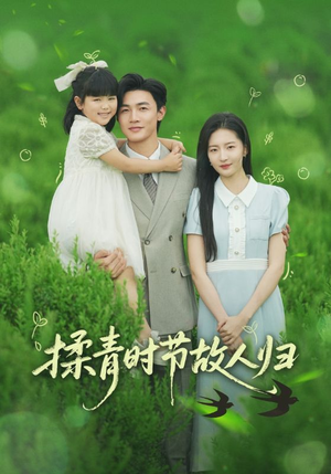 揉青时节故人归（60集）在哪里可以全集