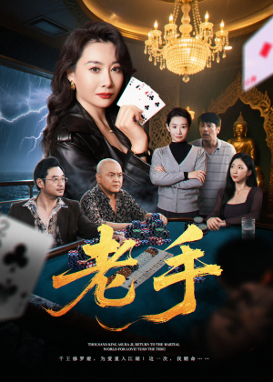 老手(36集) 老手(36集)流畅播放免费看